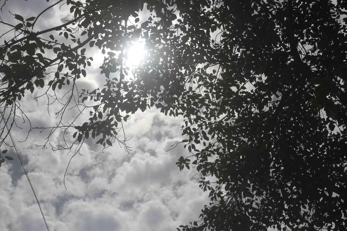 Gujarat says goodbye to rainy season as Southwest Monsoon withdraws completely