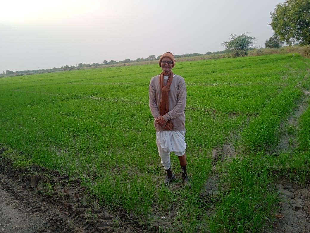 Gujarat govt announces Helpline Number for fertilizer supply related complains